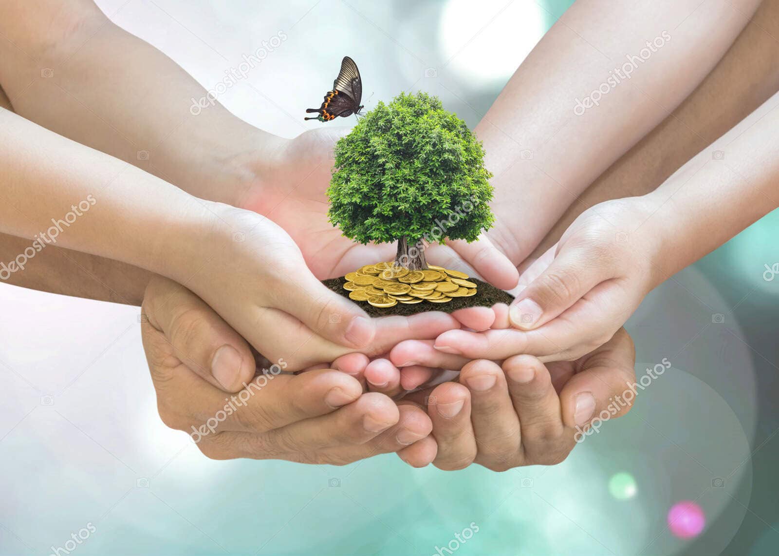 Hands holding a small tree with coins, symbolizing wealth transfer and legacy planning.